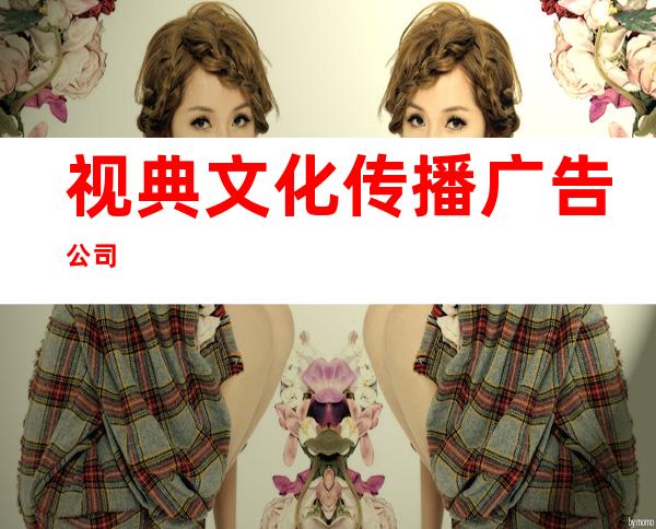 视典文化传播广告公司